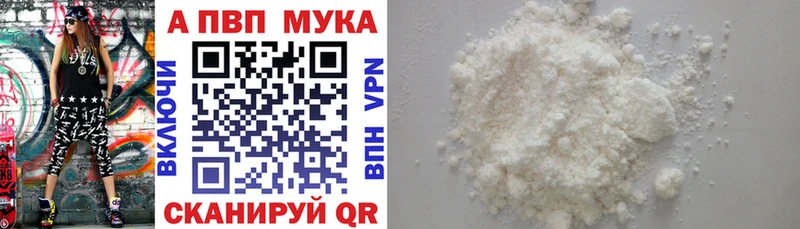 Купить где  Кашин  А ПВП Соль 
