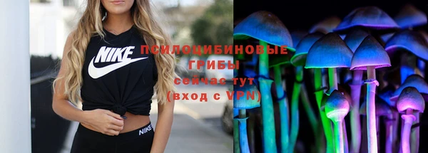 индика Бородино