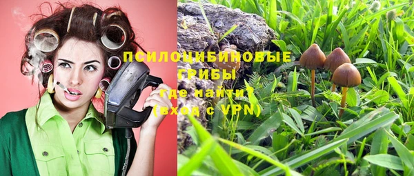 шишки Бугульма