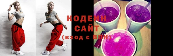 индика Бородино
