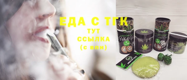 индика Бородино