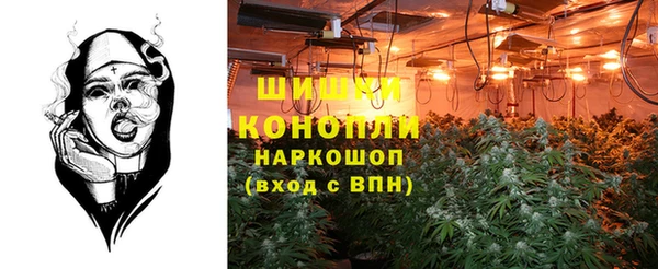 индика Бородино