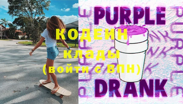 индика Бородино