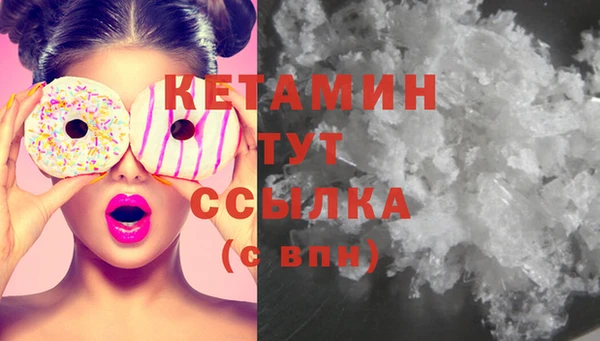индика Бородино