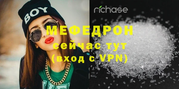 индика Бородино