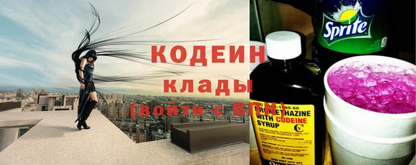 индика Бородино