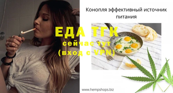 индика Бородино