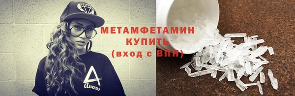 индика Бородино