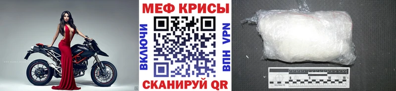 Купить где Кашин Меф мяу мяу